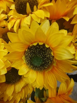 ゴッホ・アライブに投稿された画像（2024/3/3）