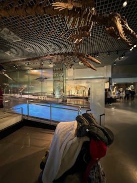 国立科学博物館に投稿された画像（2024/3/3）