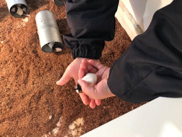 アニタッチアクアシティお台場に投稿された画像（2024/3/3）