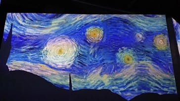 ゴッホ・アライブに投稿された画像（2024/3/3）