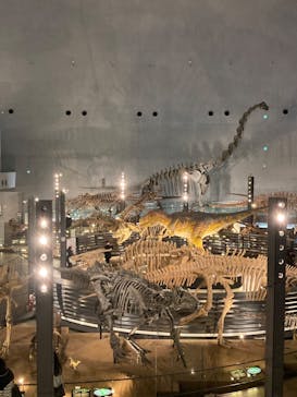 福井県立恐竜博物館に投稿された画像（2024/3/3）