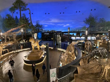 福井県立恐竜博物館に投稿された画像（2024/3/3）