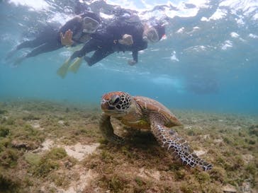 CHAMP TOUR　宮古島に投稿された画像（2024/3/3）