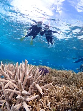 CHAMP TOUR　宮古島に投稿された画像（2024/3/3）