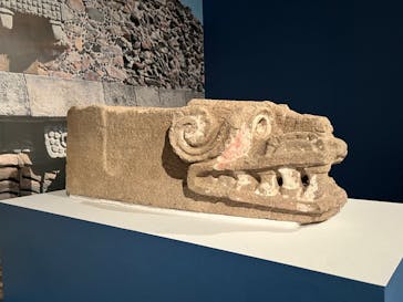 特別展「古代メキシコ ーマヤ、アステカ、テオティワカン」に投稿された画像（2024/3/4）