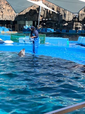 名古屋港水族館に投稿された画像（2024/3/4）