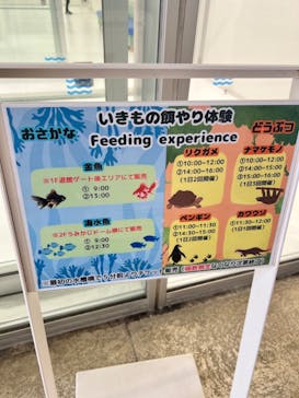 DMMかりゆし水族館に投稿された画像（2024/3/4）
