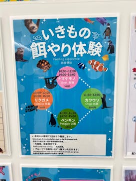 DMMかりゆし水族館に投稿された画像（2024/3/4）
