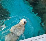 よこはま動物園ズーラシアに投稿された画像（2024/3/4）