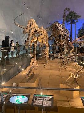 福井県立恐竜博物館に投稿された画像（2024/3/4）