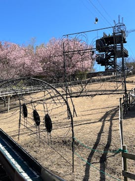 伊豆ぐらんぱる公園に投稿された画像（2024/3/4）