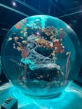 AQUARIUM × ART　atoaに投稿された画像（2024/3/4）