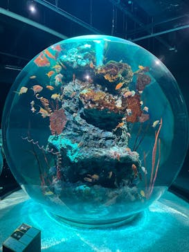 AQUARIUM × ART　atoaに投稿された画像（2024/3/4）