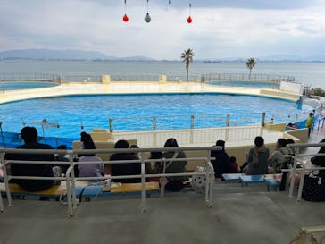 マリンワールド海の中道に投稿された画像（2024/3/4）
