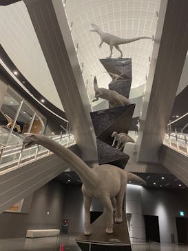 福井県立恐竜博物館に投稿された画像（2024/3/4）