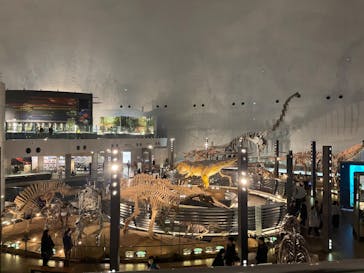 福井県立恐竜博物館に投稿された画像（2024/3/4）