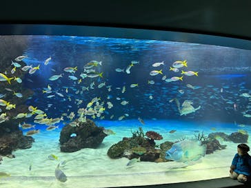 サンシャイン水族館に投稿された画像（2024/3/4）
