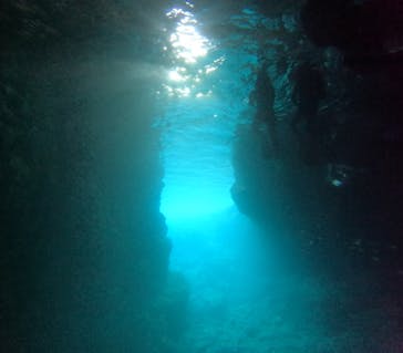 沖縄マリンサービス碧に投稿された画像（2024/3/4）