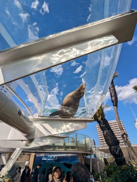 サンシャイン水族館に投稿された画像（2024/3/4）