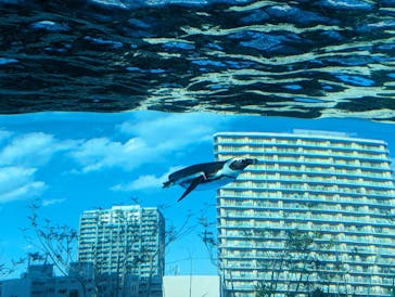 サンシャイン水族館に投稿された画像（2024/3/4）