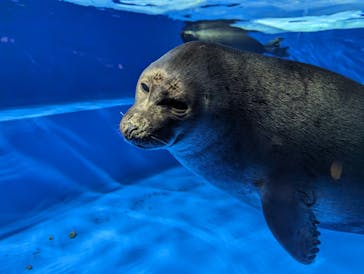 サンシャイン水族館に投稿された画像（2024/3/4）