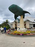 沖縄美ら海水族館に投稿された画像（2024/3/4）