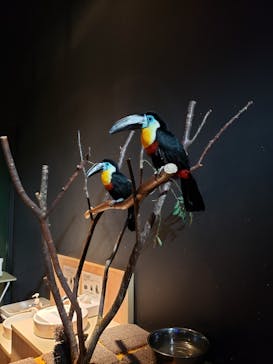 DMMかりゆし水族館に投稿された画像（2024/3/4）