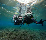 沖縄マリンサービス碧に投稿された画像（2024/3/4）