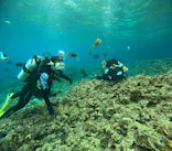 沖縄マリンサービス碧に投稿された画像（2024/3/4）