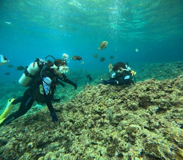 沖縄マリンサービス碧に投稿された画像（2024/3/4）