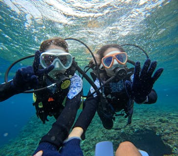 沖縄マリンサービス碧に投稿された画像（2024/3/4）