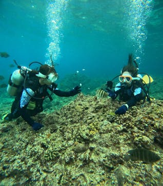 沖縄マリンサービス碧に投稿された画像（2024/3/4）