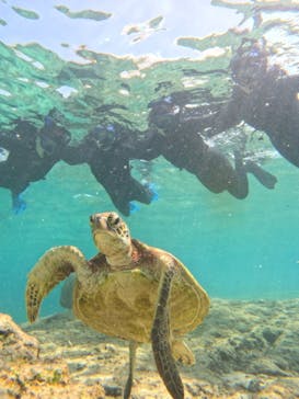 宮古島 ADVENTURE PiPi（ミヤコジマ アドベンチャー ピピ）に投稿された画像（2024/3/4）