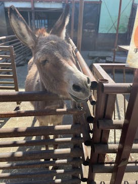 宇都宮動物園に投稿された画像（2024/3/4）