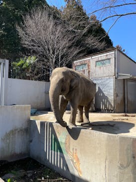 宇都宮動物園に投稿された画像（2024/3/4）
