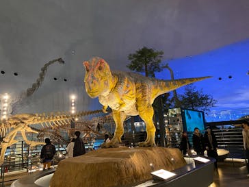 福井県立恐竜博物館に投稿された画像（2024/3/4）