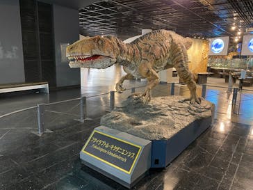 福井県立恐竜博物館に投稿された画像（2024/3/4）
