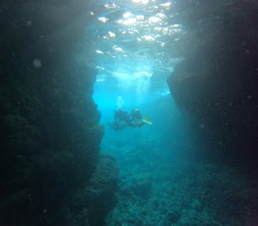 沖縄マリンサービス碧に投稿された画像（2024/3/4）