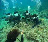 沖縄マリンサービス碧に投稿された画像（2024/3/4）