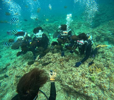 沖縄マリンサービス碧に投稿された画像（2024/3/4）