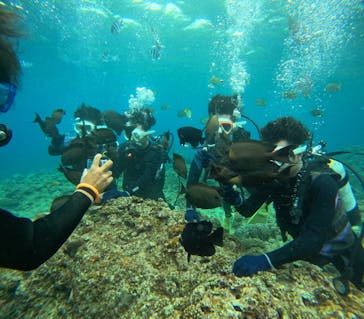 沖縄マリンサービス碧に投稿された画像（2024/3/4）