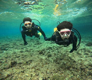 沖縄マリンサービス碧に投稿された画像（2024/3/4）