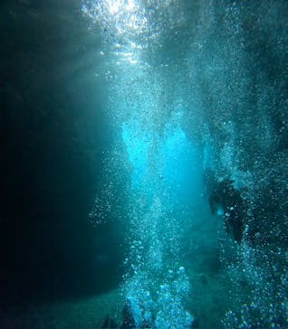 沖縄マリンサービス碧に投稿された画像（2024/3/4）