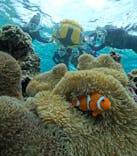 初心者専門宮古島シュノーケリングツアーに投稿された画像（2024/3/4）