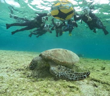 初心者専門宮古島シュノーケリングツアーに投稿された画像（2024/3/4）