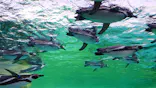 天王寺動物園に投稿された画像（2024/3/4）
