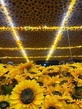 ゴッホ・アライブに投稿された画像（2024/3/4）