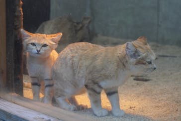 神戸どうぶつ王国に投稿された画像（2024/3/4）