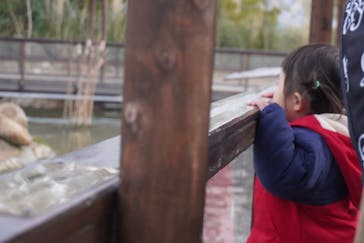 神戸どうぶつ王国に投稿された画像（2024/3/4）