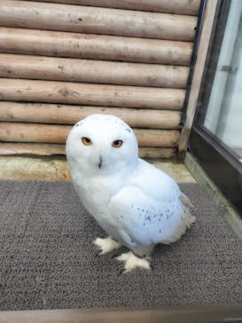 伊豆・三津シーパラダイスに投稿された画像（2024/3/4）